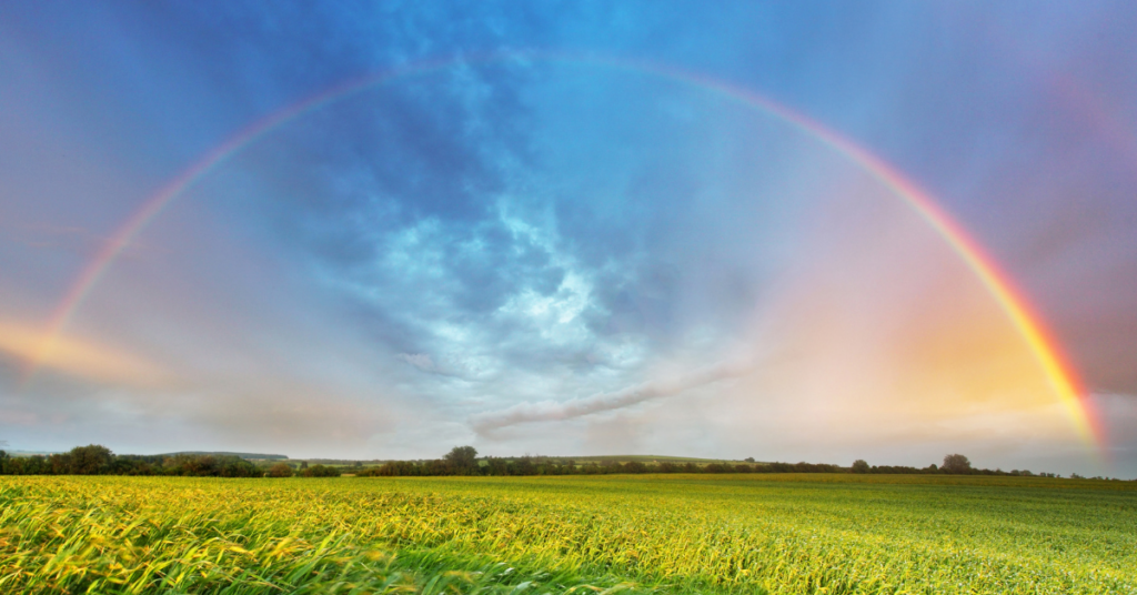 AOC 2026 Blog header images 5 - All Occasions Catering A wedding and a rainstorm couldn't have been more different, yet both reminded me of the same truth: life isn't about the deadlines, distractions, or things that divide us. It's about the people we love, the moments we share, and choosing to be fully present while we still can.